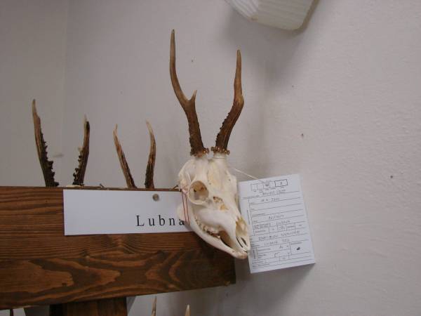 obr1