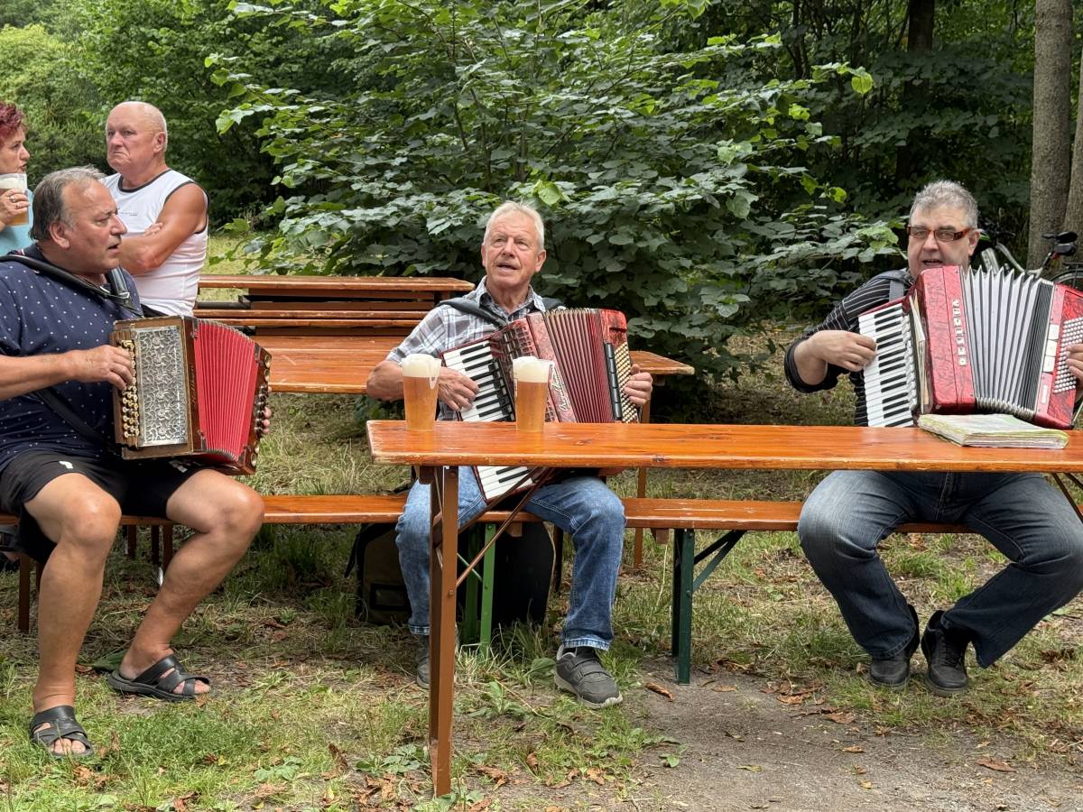 Obrazek clanku